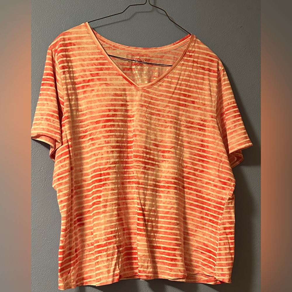 Terra & Sky Short Sleeves Striped V-Neck Shirt Sz 4X